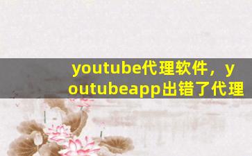 youtube代理软件，youtubeapp出错了代理