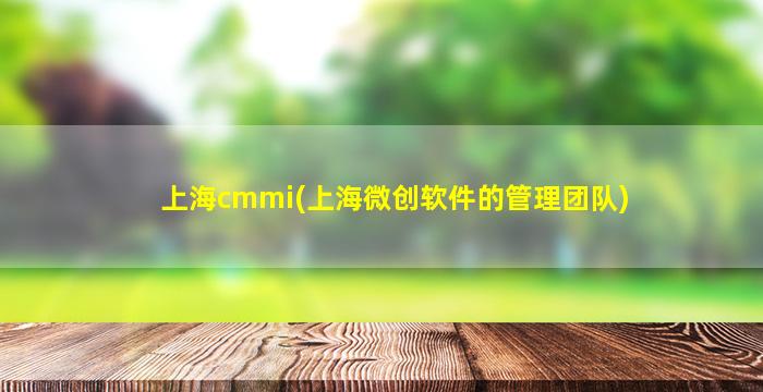 上海cmmi(上海微创软件的管理团队)