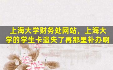 上海大学财务处网站，上海大学的学生卡遗失了再那里补办啊