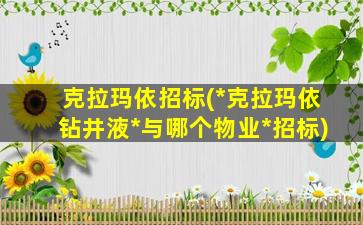 克拉玛依招标(*克拉玛依钻井液*与哪个物业*招标)