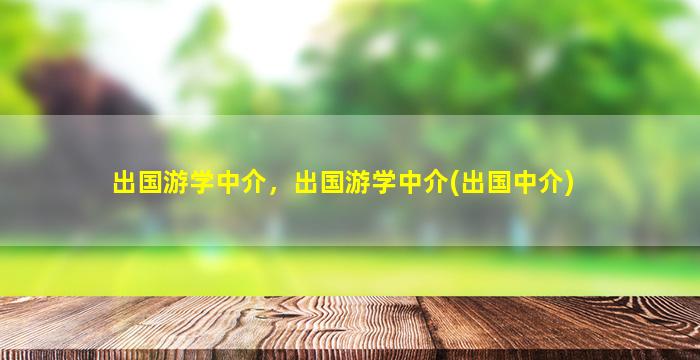 出国游学中介，出国游学中介(出国中介)