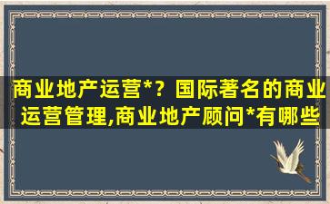 商业地产运营*？国际著名的商业运营管理,商业地产顾问*有哪些插图