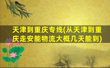 天津到重庆专线(从天津到重庆走安能物流大概几天能到)