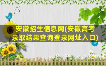 安徽招生信息网(安徽高考录取结果查询登录网址入口)