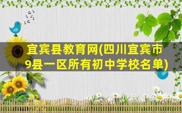 宜宾县教育网(四川宜宾市9县一区所有初中学校名单)