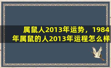 属鼠人2013年运势，1984年属鼠的人2013年运程怎么样