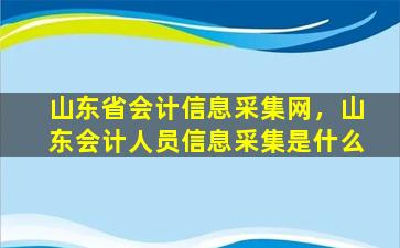 山东省会计信息采集网，山东会计人员信息采集是什么