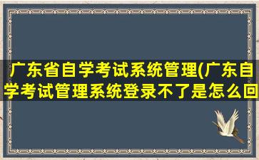 广东省自学考试系统管理(广东自学考试管理系统登录不了是怎么回事)