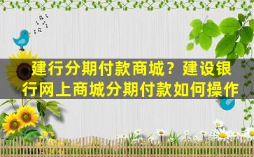 建行分期付款商城？建设银行网上商城分期付款如何*作