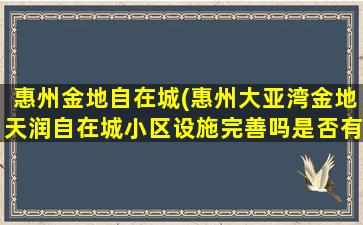 惠州金地自在城(惠州大亚湾金地天润自在城小区设施完善吗是否有投资价值)