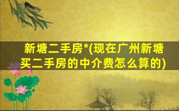 新塘二手房*(现在广州新塘买二手房的中介费怎么算的)插图
