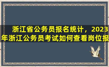 浙江省公务员报名统计，2023年浙江公务员考试如何查看岗位报名人数