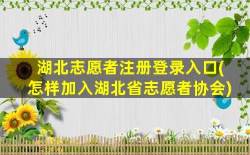 湖北志愿者注册登录入口(怎样加入湖北省志愿者协会)