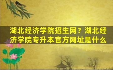 湖北经济学院招生网？湖北经济学院专升本官方网址是什么