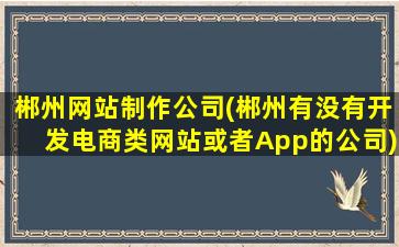 郴州网站制作*(郴州有没有开发电商类网站或者App的*)