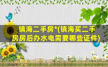 镇海二手房*(镇海买二手房房后办水电需要哪些证件)插图
