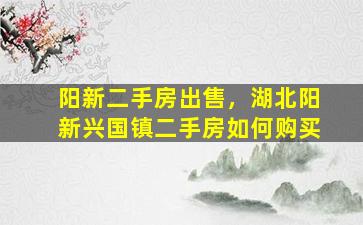 阳新二手房*，湖北阳新兴国镇二手房如何购买