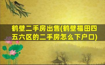 鹤壁二手房*(鹤壁福田四五六区的二手房怎么下户口)